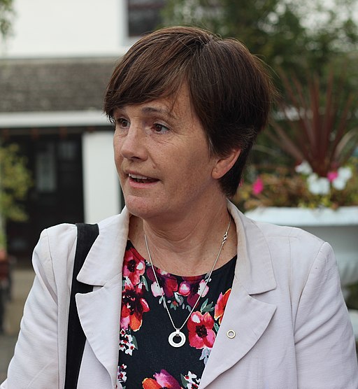 Caitríona Ruane 2014 (cropped)