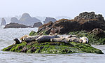 Thumbnail for File:California Coastal National Monument (18824436018).jpg