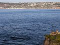 * Nomination California sea lions on a rock in La Jolla Bay --Rhododendrites 00:07, 21 December 2016 (UTC) * Promotion Good overall quality and nice. -- Ikan Kekek 12:56, 25 December 2016 (UTC)