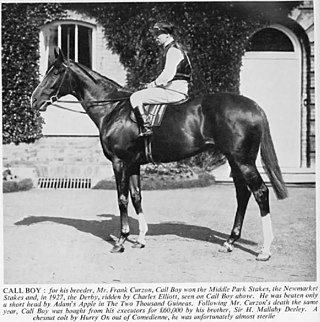 <span class="mw-page-title-main">Call Boy (horse)</span> British-bred Thoroughbred racehorse