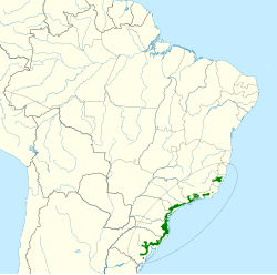 Distribución geográfica del cotinga encapuchado.