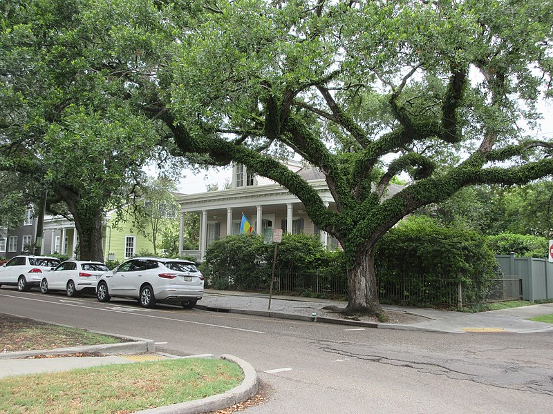 File:Carrollton Avenue at Freret St House, New Orleans 1 June 2022 - 02.jpg