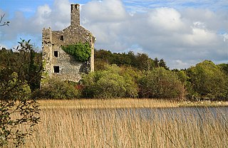 <span class="mw-page-title-main">Dromore Lough (Clare)</span> Body of water