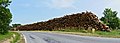 * Nomination Pile of logs along road D 7, near Châtignac, Charente France. --JLPC 16:35, 18 July 2013 (UTC) * Promotion Good quality. --Smial 22:07, 18 July 2013 (UTC)