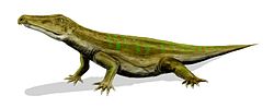 Proterosuchus