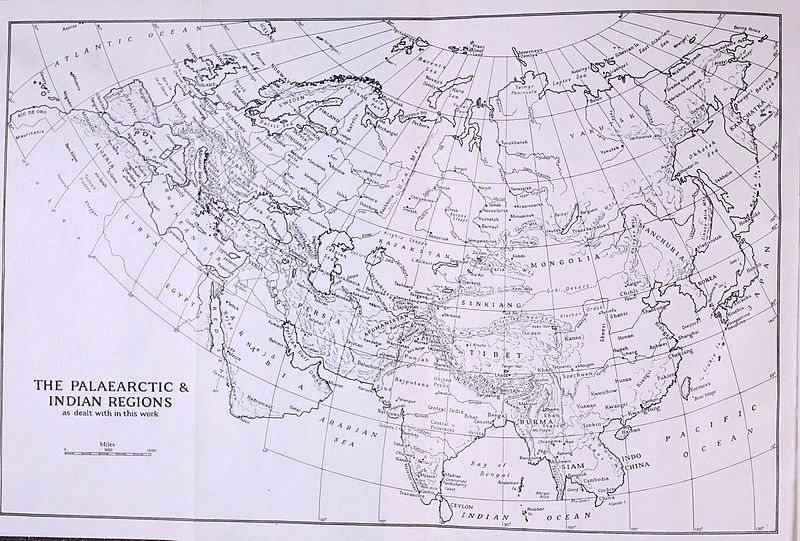 File:Checklist of Palaearctic and Indian mammals 1758 to 1946 BHL8722338.jpg