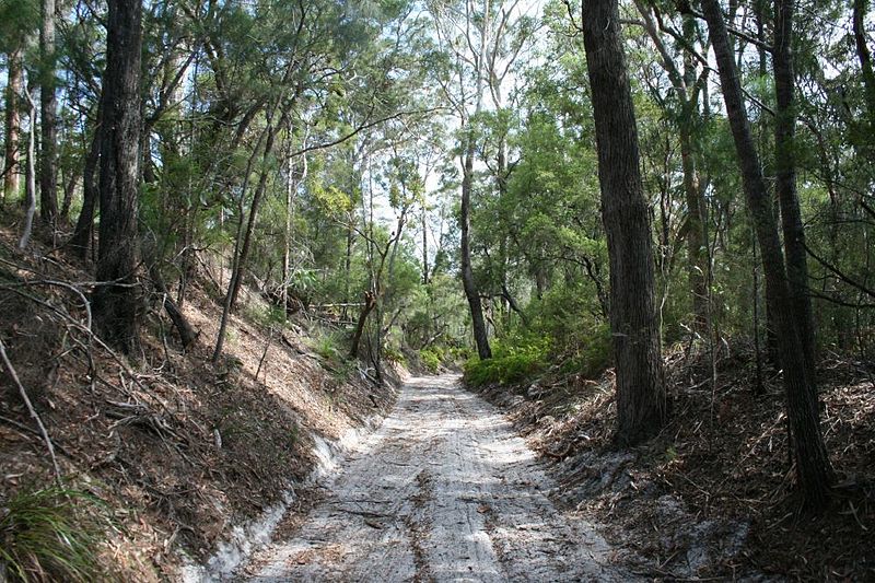 File:Cooloola Tramway - Cutting (2012).jpg