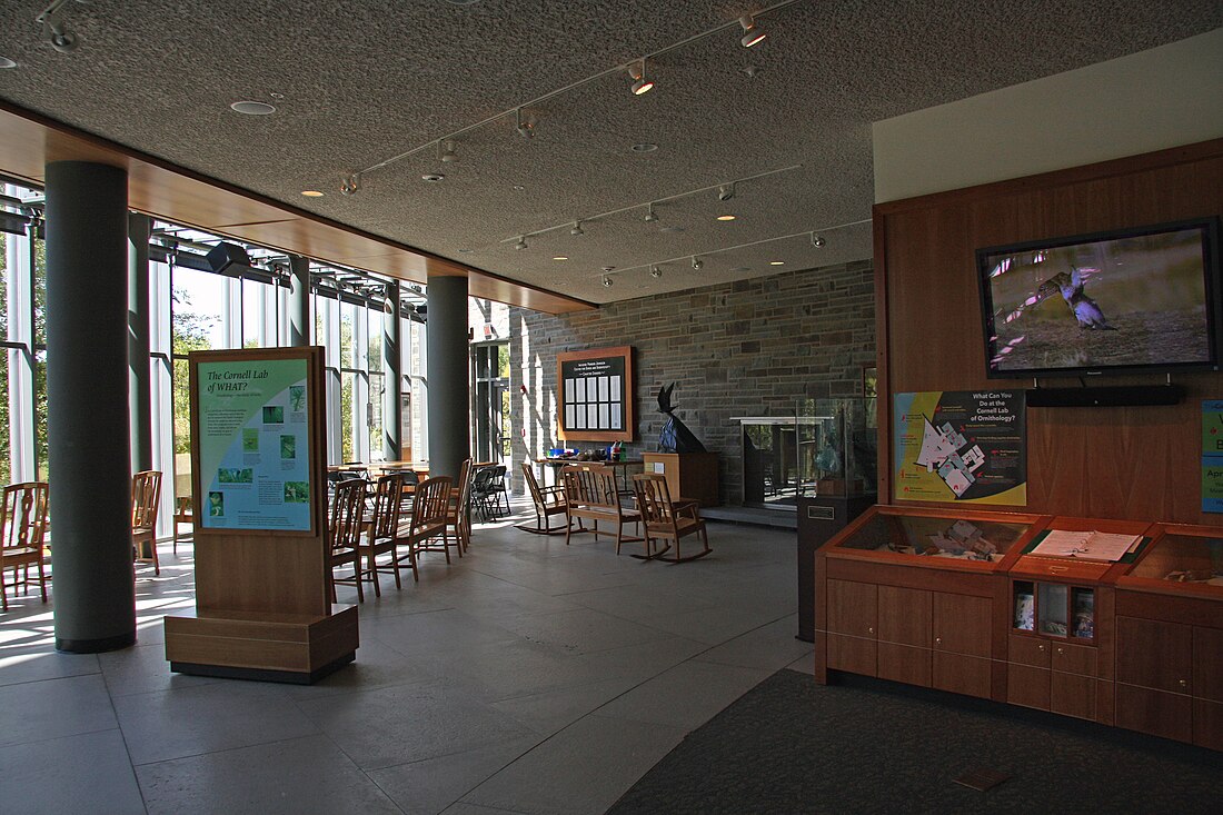 File:Cornell Lab of Ornithology interior.JPG