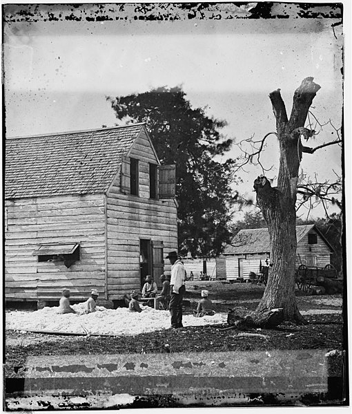 File:Cotton preparation 1862.jpg
