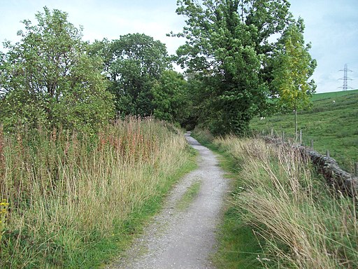 Course of the Former Peak Forest Tramway - geograph.org.uk - 2613807