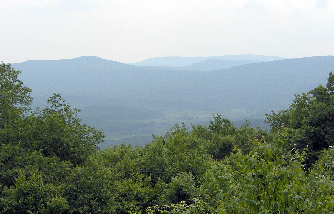 Cranberry Wilderness