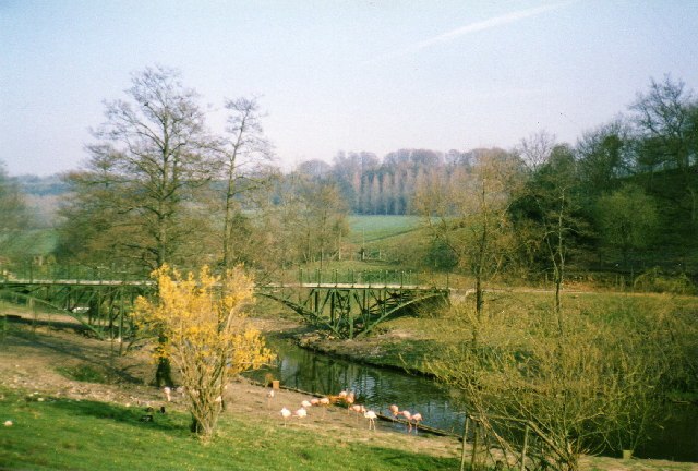 Wildlife Park at Cricket St Thomas