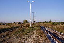 Station Dęba Rozalin