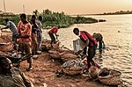 Thumbnail for Fishing industry in Sudan