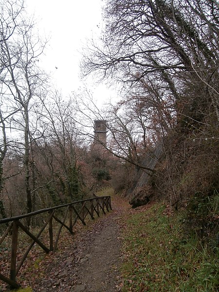 File:Dalla strada si scorge la torre pendente - panoramio.jpg