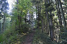 Dam-like climb in the northwest