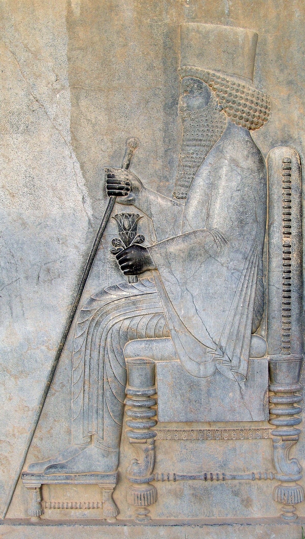 Dario I di Persia Wikipedia