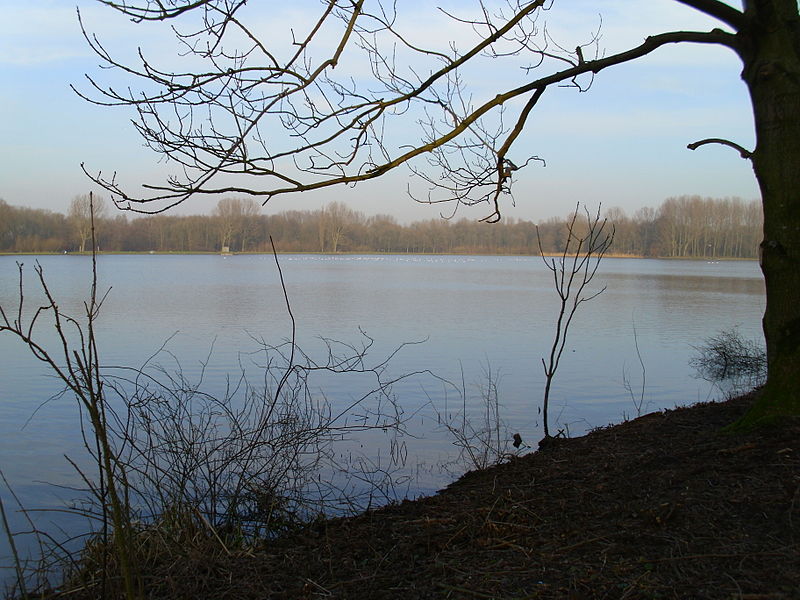 File:Delft lake in febr..JPG