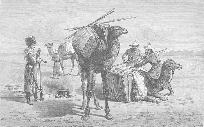 Караван пришел. Вьюк на верблюде. Монгол на верблюде. Верблюд гравюра. Верблюды в Монголии.