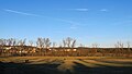 Čeština: zimní stromy na louce u Pražské ulice, Dobříš v okrese Příbram English: trees without leaves near street Pražská ulice, Dobříš in Příbram District