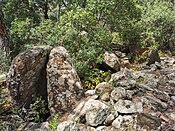 Dolmen de la Maubelle