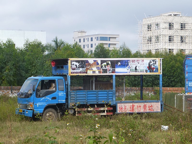 File:Donghai Island - P1570702 - Dongshan Town - circus.JPG