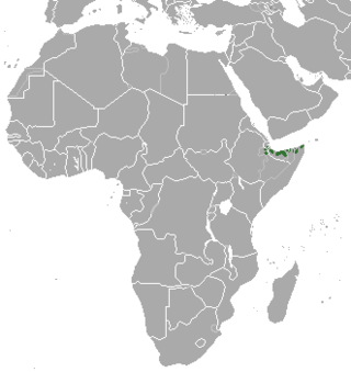 Distribuição territorial do beira