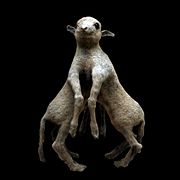 Anomalous double sheep at Lausanne natural history museum