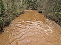 * Nomination Dourdou River in Conques, Aveyron, France. --Tournasol7 07:14, 17 December 2019 (UTC) * Promotion Very muddy. I like the motion blur in this context. -- Ikan Kekek 08:10, 17 December 2019 (UTC)