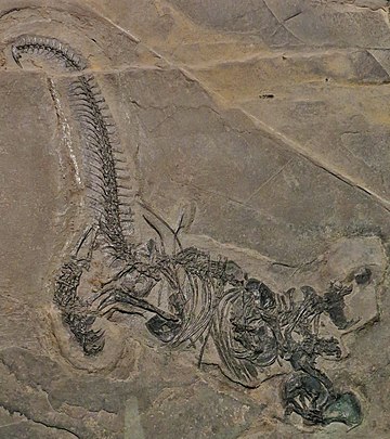 Drepanosaurus