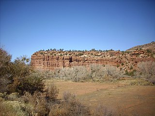 <span class="mw-page-title-main">El Cobre Canyon Formation</span> Geologic formation in New Mexico, United States