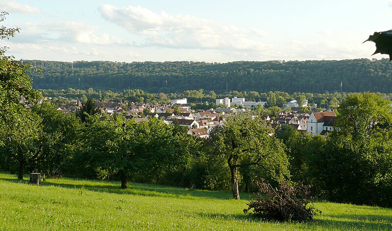 File:Esslingen a.N. - Oberesslingen - Ansicht von Norden.jpg