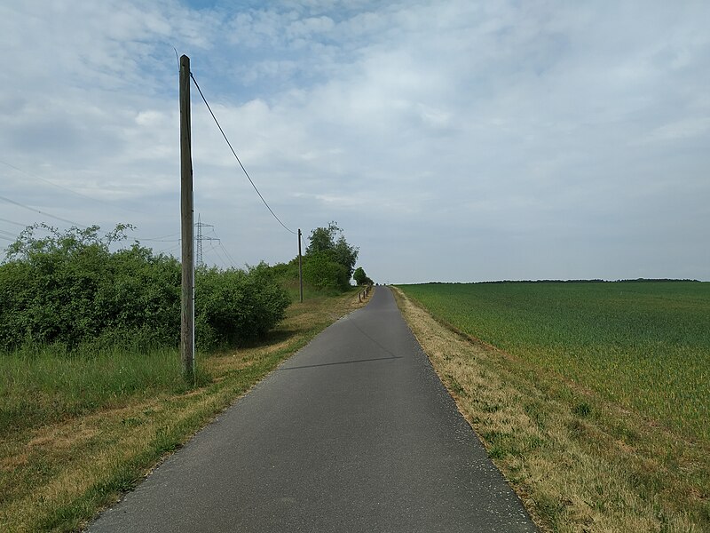 File:Fahrradweg Hönow.jpg