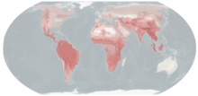 Felid Distribution.png