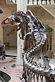 Fernbank Museum - Atlanta - Flickr - hyku (6).jpg