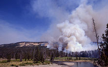 The incomplete combustion of biomass during the Yellowstone fires of 1988 near the Snake River introduced a large quantity of black carbon particles into the atmosphere. Fire above Snake River.jpg