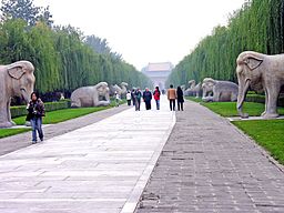 Processionsvägen mot kantad av stenstatyer som leder mot Minggravarna passerar precis öster om Shisanling.
