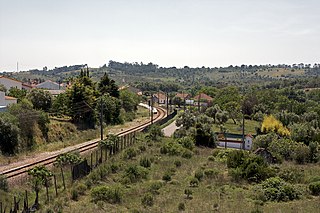 <span class="mw-page-title-main">Ramal de Tomar</span> Portuguese railway line