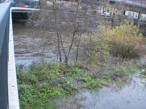 wild nature of river Lahn in Marburg,