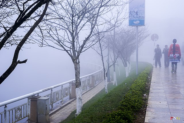 Natural fog in northwest Vietnam