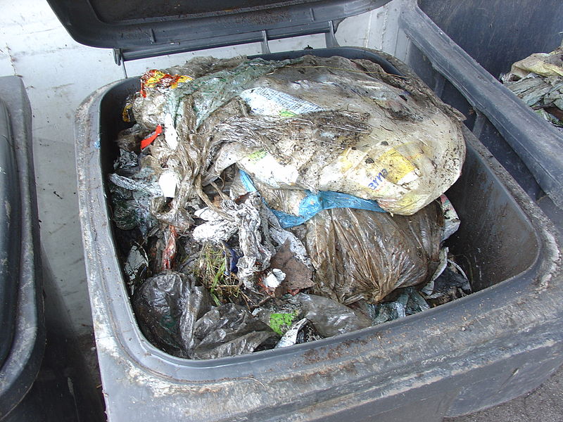 File:Foreign objects separated from residential biowaste.jpg