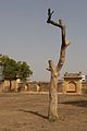 Former Tree - Maharani Ki Chhatri, Jaipur (4609874771).jpg
