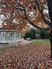 Governor of Morehead School central gardens in Autumn GMS in Autumn.jpg