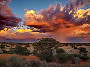Orage dans le Kalahari près de Stampriet, Namibie