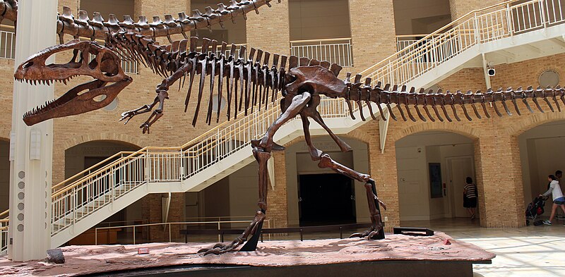 Giganotosaurus Vs T Rex: Comparison Of Size, Speed And Intelligence