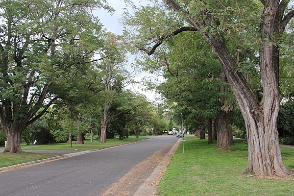 Barton Housing Precinct, Gipps Street