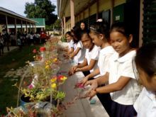 Pupils of Lupok Central Elementary School Guiuan Eastern Samar, Philippines during the Global Hand Washing Day Celebration in 2015 Global Handwashing Day Celebration at Lupok Central Elementary School, Guiuan Eastern Samar Philippines.png
