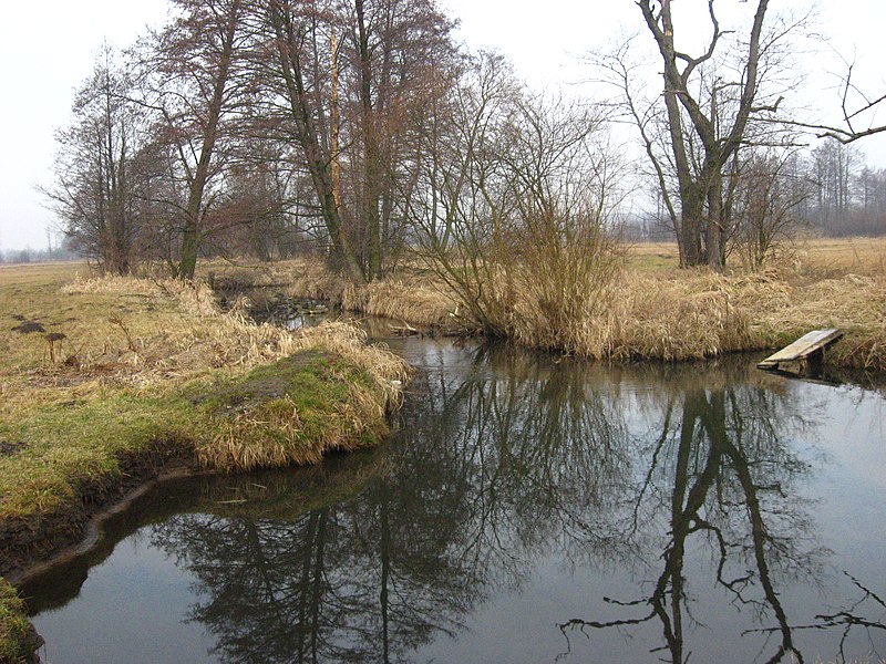 File:Gmina Staszów, Poland - panoramio - Sławomir Hutryk (1).jpg