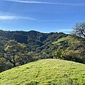 The upper canyon of Grizzly Creek, a tributary of Las Trampas Creek, at the northern end of Las Trampas Ridge (January 1st, 2022)