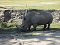 Guadalajara Zoo